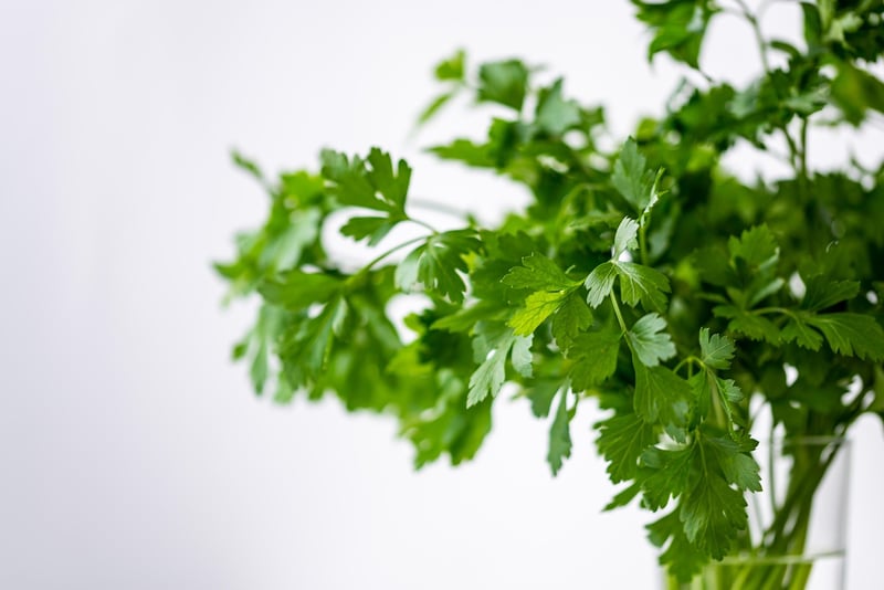 Herb gardens